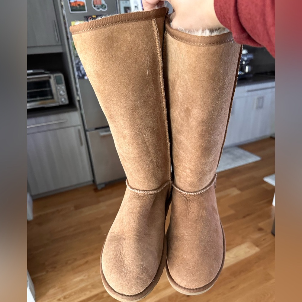 Tall Classic Ugg Chestnut Size 8